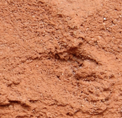 Terracotta